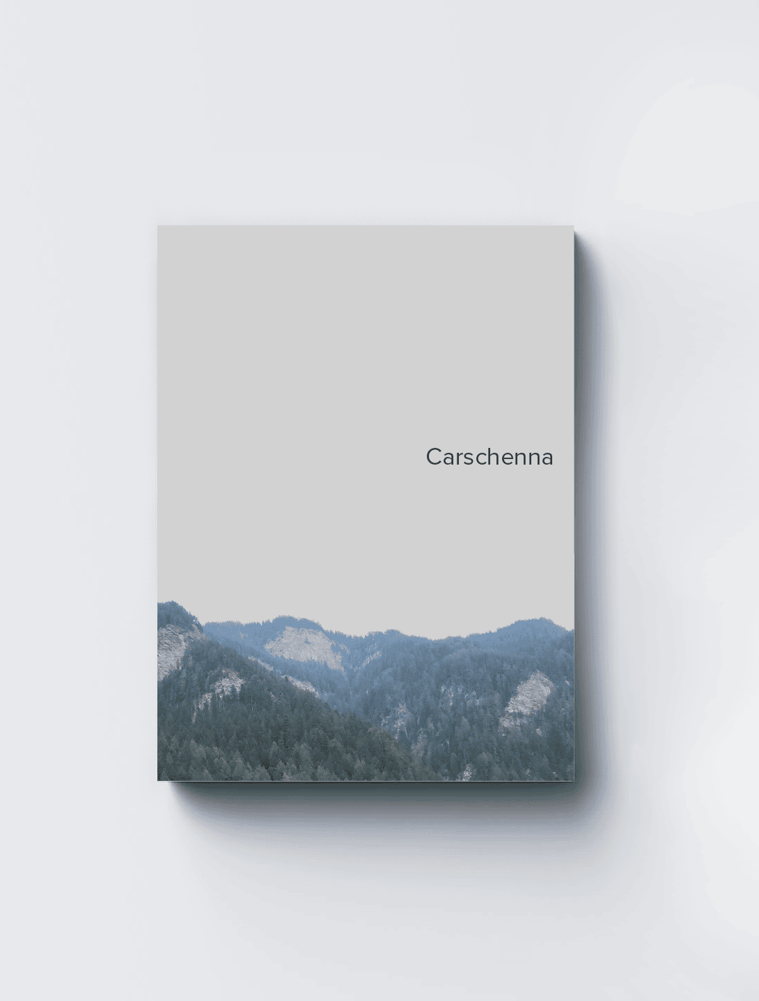 Mockup of a book cover